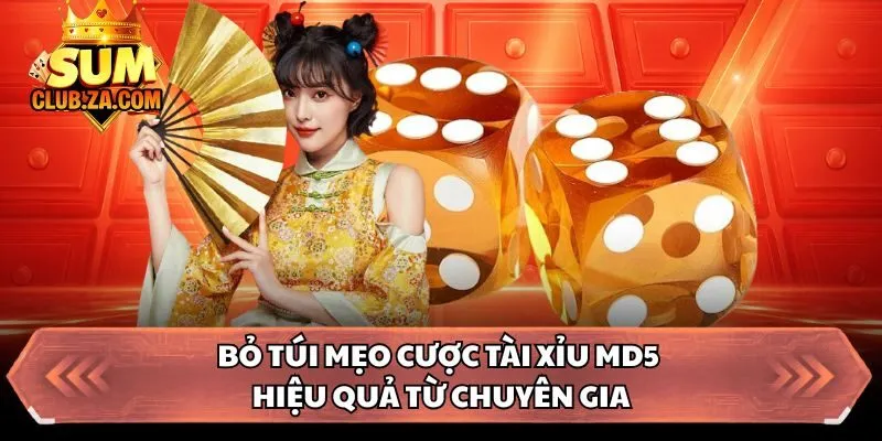 Bỏ túi mẹo cược tài xỉu MD5 hiệu quả từ chuyên gia