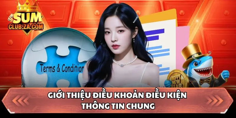 Giới thiệu điều khoản điều kiện - Thông tin chung