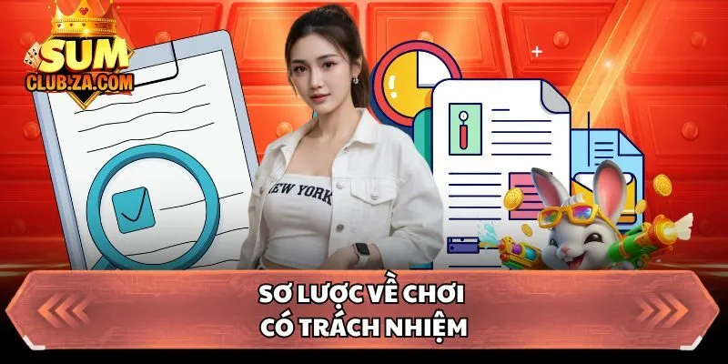 Sơ lược về chơi có trách nhiệm